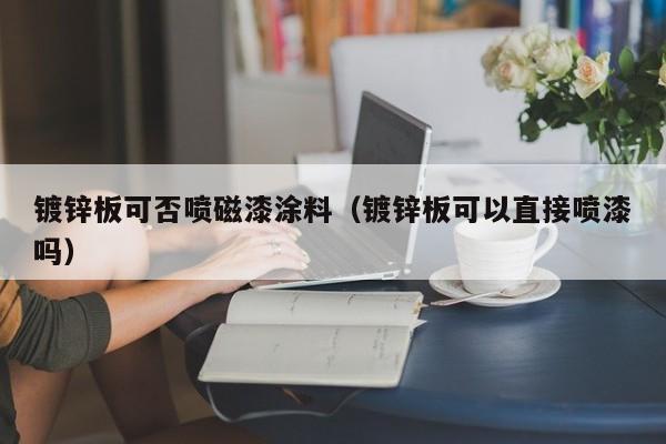 镀锌板可否喷磁漆涂料（镀锌板可以直接喷漆吗）