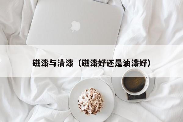 磁漆与清漆（磁漆好还是油漆好）