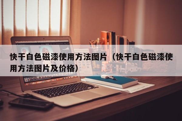 快干白色磁漆使用方法图片（快干白色磁漆使用方法图片及价格）