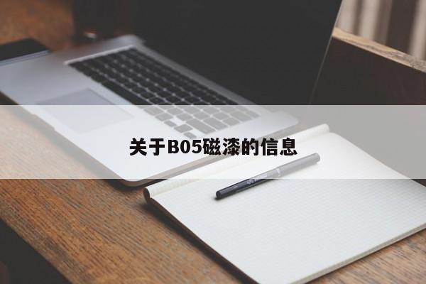 关于B05磁漆的信息