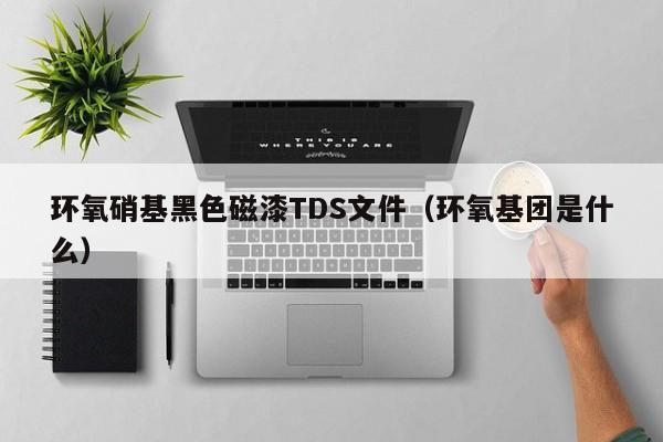 环氧硝基黑色磁漆TDS文件（环氧基团是什么）